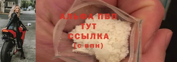 амф Дмитриев