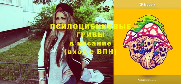 МДПВ Кодинск