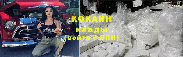 гидра Дмитров