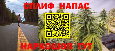 гашик Кунгур