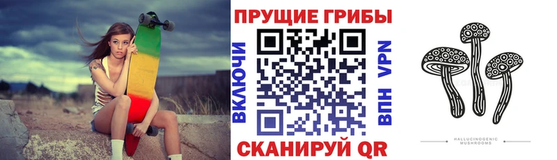 где найти наркотики  Десногорск  Псилоцибиновые грибы мицелий 