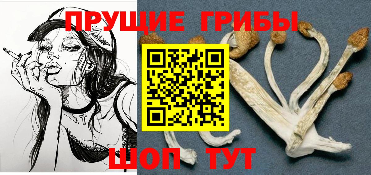 Галлюциногенные грибы Psilocybine cubensis  Галлюциногенные грибы мицелий  Десногорск  Вход с VPN 